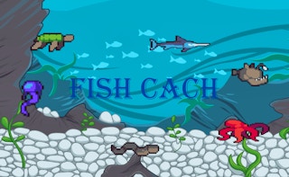 Image Fish Cach