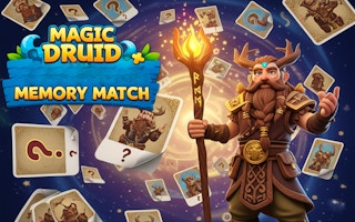 Image Magic Druid Memory Match