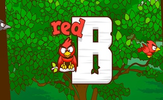 Image Red Bird
